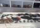 Akti Restaurant- Ψαροφαγία επιπέδου στην Βουλιαγμένη με υπογραφή του chef Παναγιώτη Γιακαλή