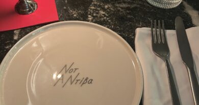 Ntiva – Ήρθε με τον αέρα της να μας κατακτήσει