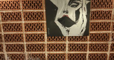 Ντίβα – Ήρθε με τον αέρα της να μας κατακτήσει