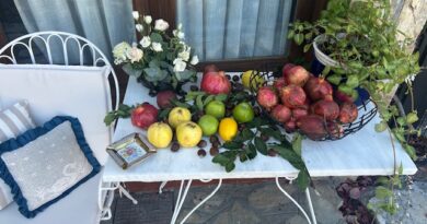 Απόμερο στην Καρδίτσα – Ένα φιλόξενο σπίτι