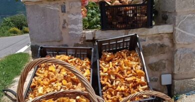 Ζέρζοβα – Η ταβέρνα που ξεχωρίζει σε όλη την Αρκαδία